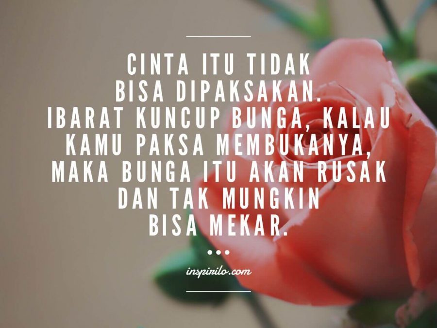  Kesuksesan bukanlah suatu hal yang bisa diraih dengan gampang √ 67+ Kata Kata Motivasi Bijak Terbaik Sebagai Penyemangat Meraih Sukses