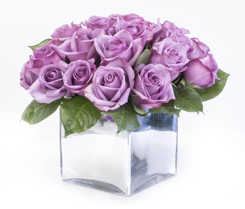 Gambar bunga mawar dilengkapi dengan maknanya dari setangkai atau buket bunga mawar merah, pink, hitam dan lain-lainnya.