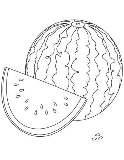 gambar mewarnai buah semangka