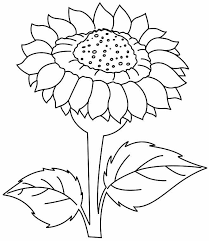 Gambar mewarnai bunga matahari