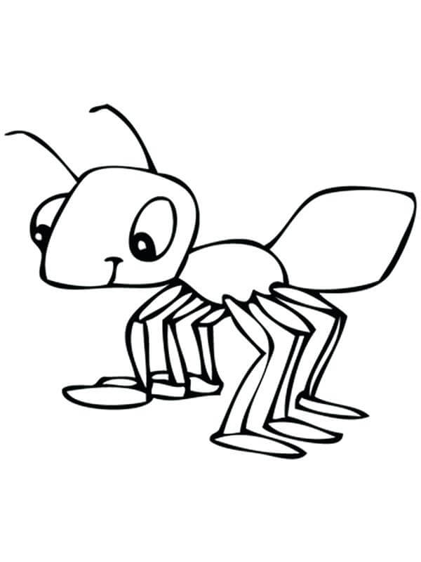 gambar mewarnai hewan semut