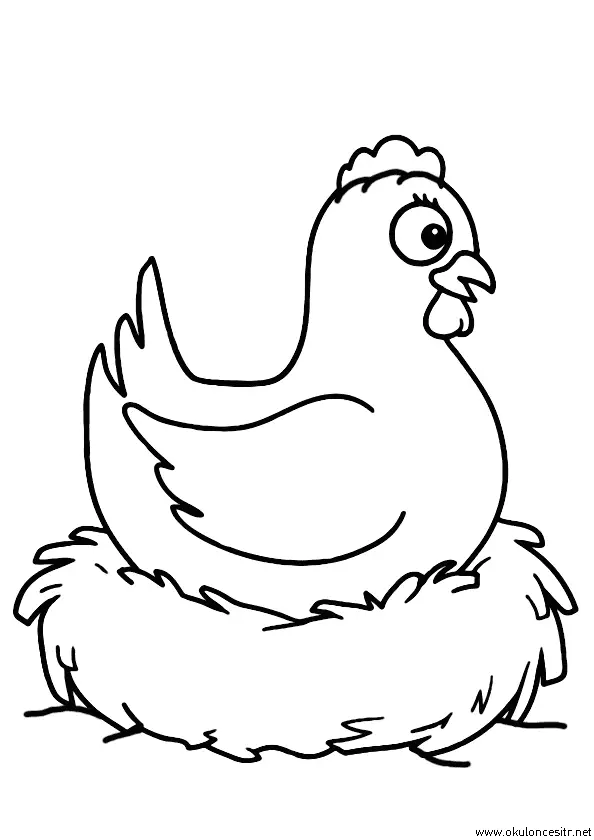 Gambar Mewarnai Ayam Bertelur di Sarang