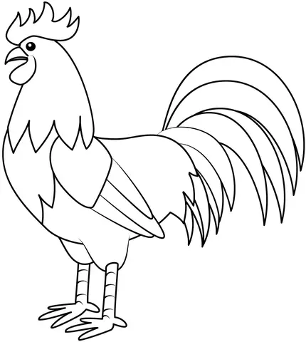Gambar Mewarnai Ayam Jantan Gagah